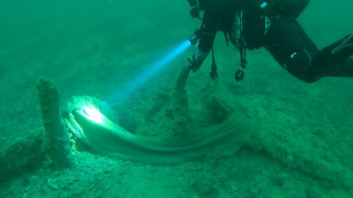 Çanakkale Boğazı'ndan 250 kilo hayalet ağ temizlendi -3