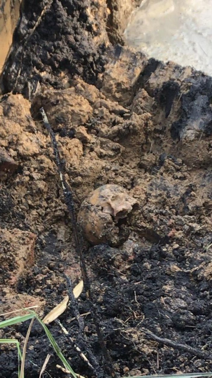 Nazili Meslek Yüksek Okulu bahçesinde kafatası ve kemik parçaları bulundu -2
