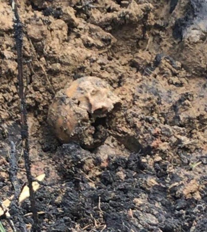 Nazili Meslek Yüksek Okulu bahçesinde kafatası ve kemik parçaları bulundu -3