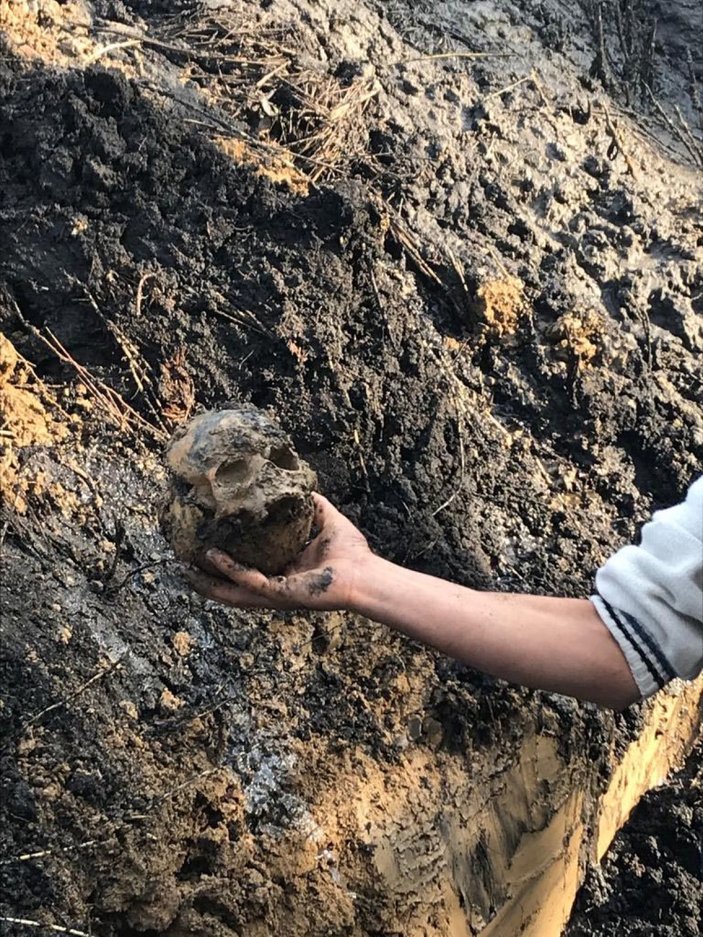Nazili Meslek Yüksek Okulu bahçesinde kafatası ve kemik parçaları bulundu -1