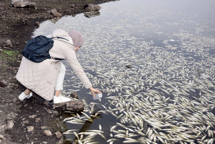 Hacıhıdır Barajı Gölü'nde balık ölümlerine inceleme -5