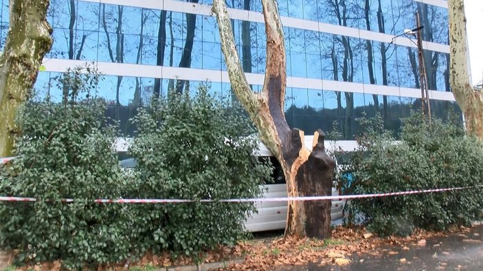 Sarıyer'de asırlık çınar ağacı servis aracının üzerine devrildi -2