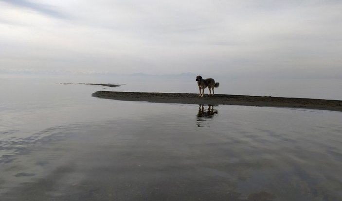 Van Gölü’nde sular çekilince yeni adacıklar oluştu -7
