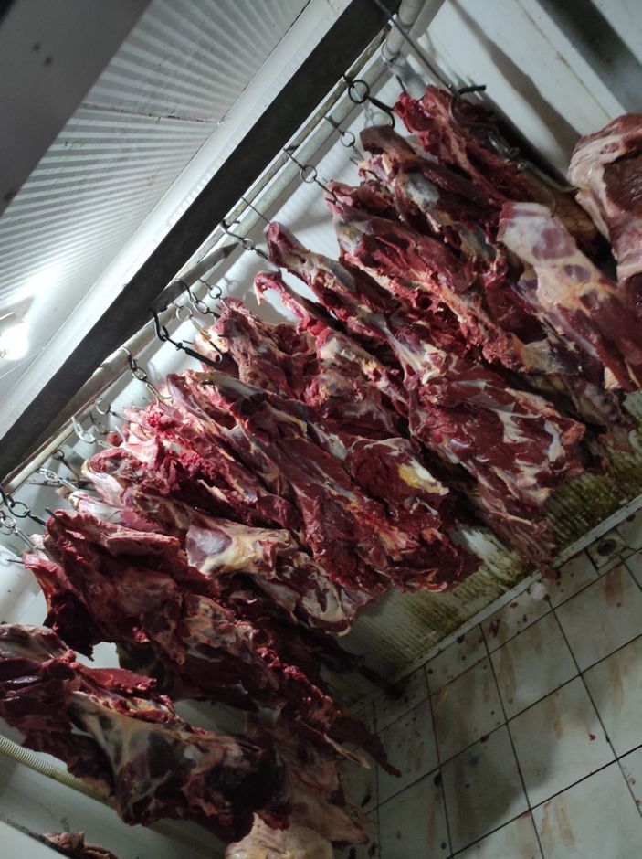 d Baba ve oğlu, at kestikleri iddiasıyla yine gözaltına alındı -3