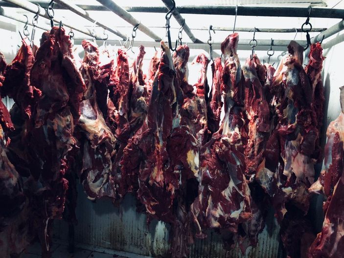 d Baba ve oğlu, at kestikleri iddiasıyla yine gözaltına alındı -4