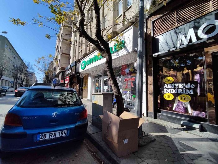 Ağaç diplerine çöp bırakılmaması için yalvardı -3