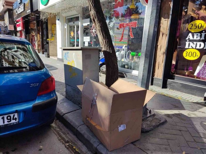 Ağaç diplerine çöp bırakılmaması için yalvardı -2