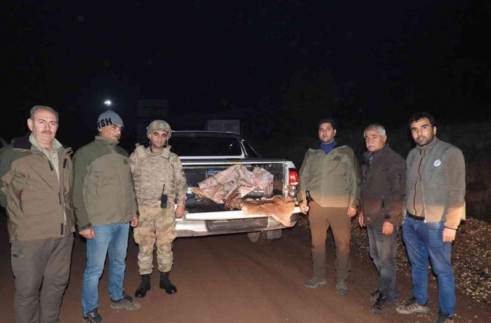 Yabani dağ keçisini vuran şahsa 63 bin TL ceza -1