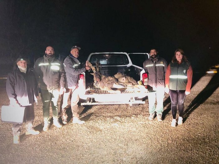 Tunceli'de dağ keçisi avına 126 bin TL ceza -2