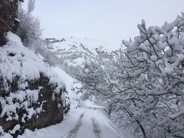 Van'da 83 yerleşim yeri, kardan kapandı -8