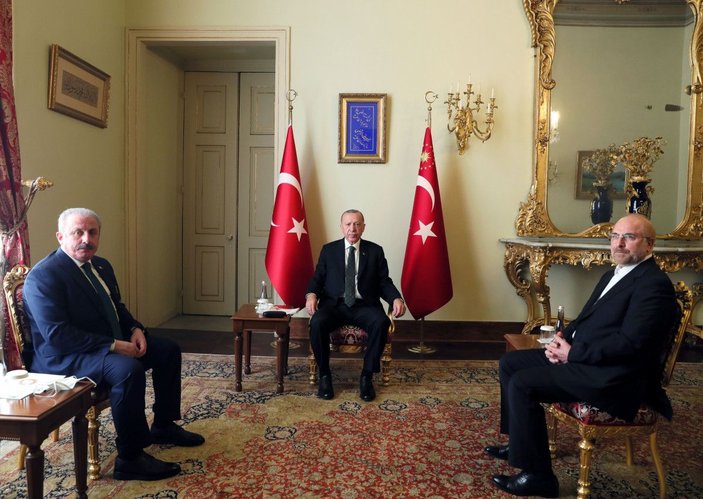 Cumhurbaşkanı Erdoğan İran meclis başkanını kabul etti -2