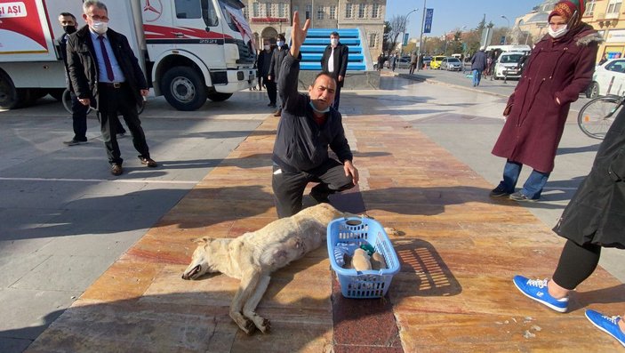 Köpeğin tüfekle öldürülmesine tepki gösterdi -2