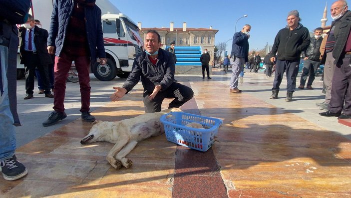 Köpeğin tüfekle öldürülmesine tepki gösterdi -3