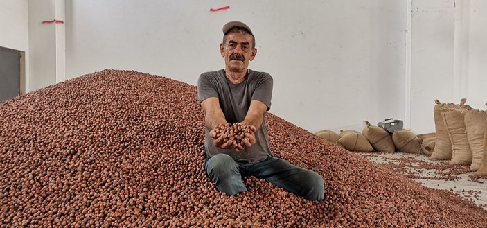 Fındık taban fiyatını aştı, 32 TL'ye yükseldi -5
