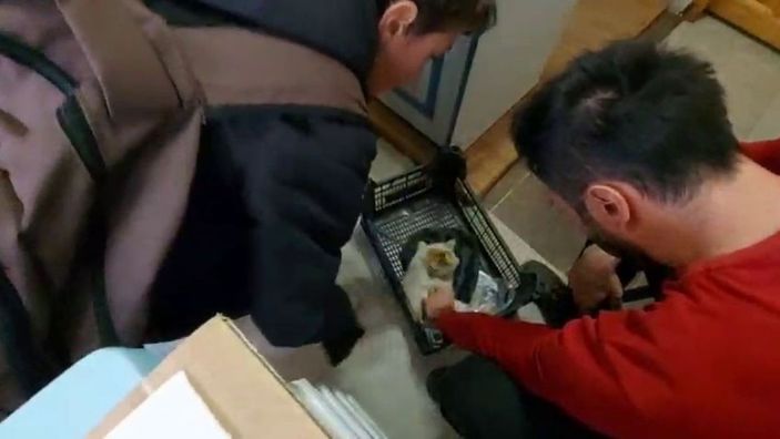 i Küçük yüreklerden büyük hareketler -1