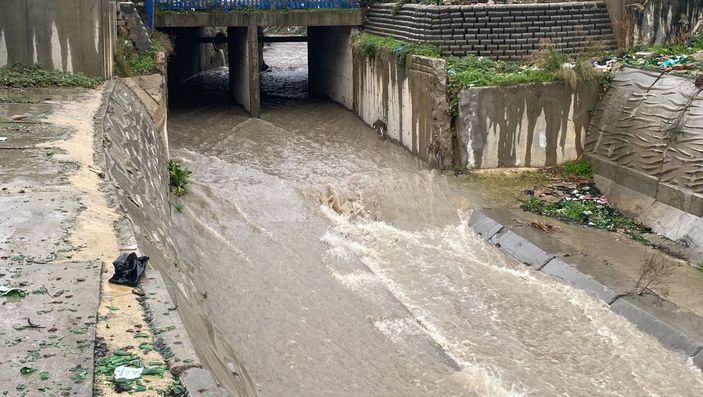 Ataşehir'de dereye düşen 6 köpeği kurtarma operasyonu -5
