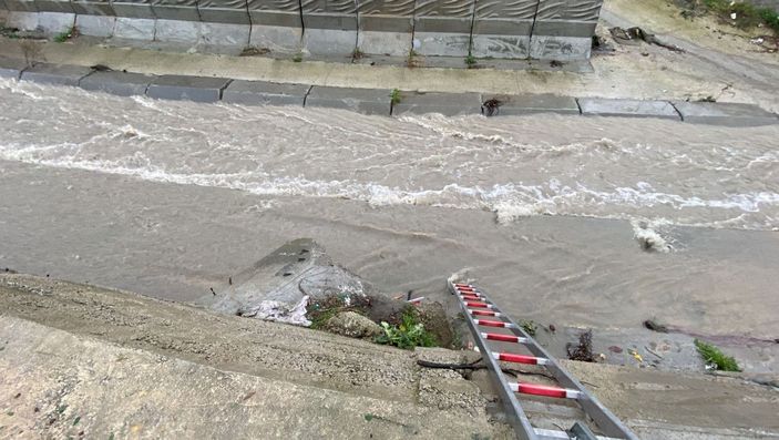 Ataşehir'de dereye düşen 6 köpeği kurtarma operasyonu -4