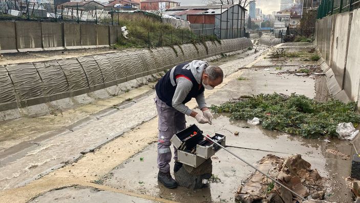 Ataşehir'de dereye düşen 6 köpeği kurtarma operasyonu -3