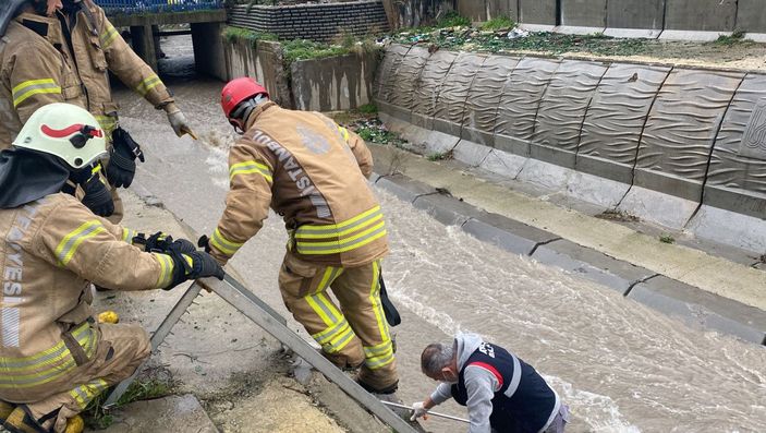 Ataşehir'de dereye düşen 6 köpeği kurtarma operasyonu -2