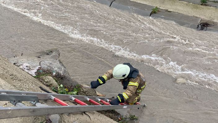 Ataşehir'de dereye düşen 6 köpeği kurtarma operasyonu -1