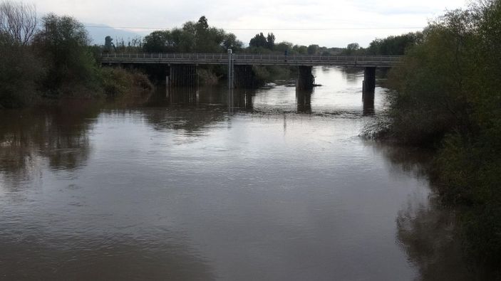Kuruyan Büyük Menderes Nehri eski günlerine döndü -1