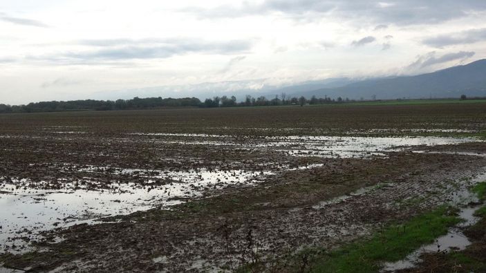 Kuruyan Büyük Menderes Nehri eski günlerine döndü -8
