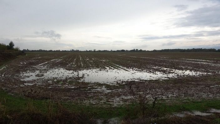 Kuruyan Büyük Menderes Nehri eski günlerine döndü -7