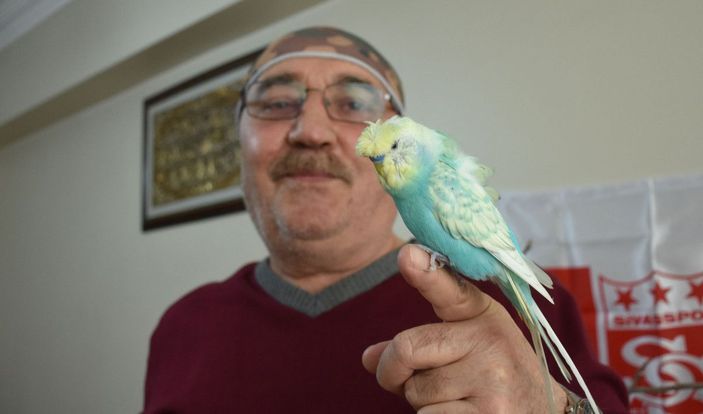 Yiğido adlı muhabbet kuşundan Muslera'ya 'geçmiş olsun' mesajı