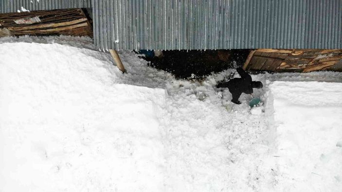 Muş’ta 1600 rakımlı köy kara gömüldü -20