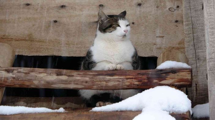 i Muş’ta 1600 rakımlı köy kara gömüldü -22