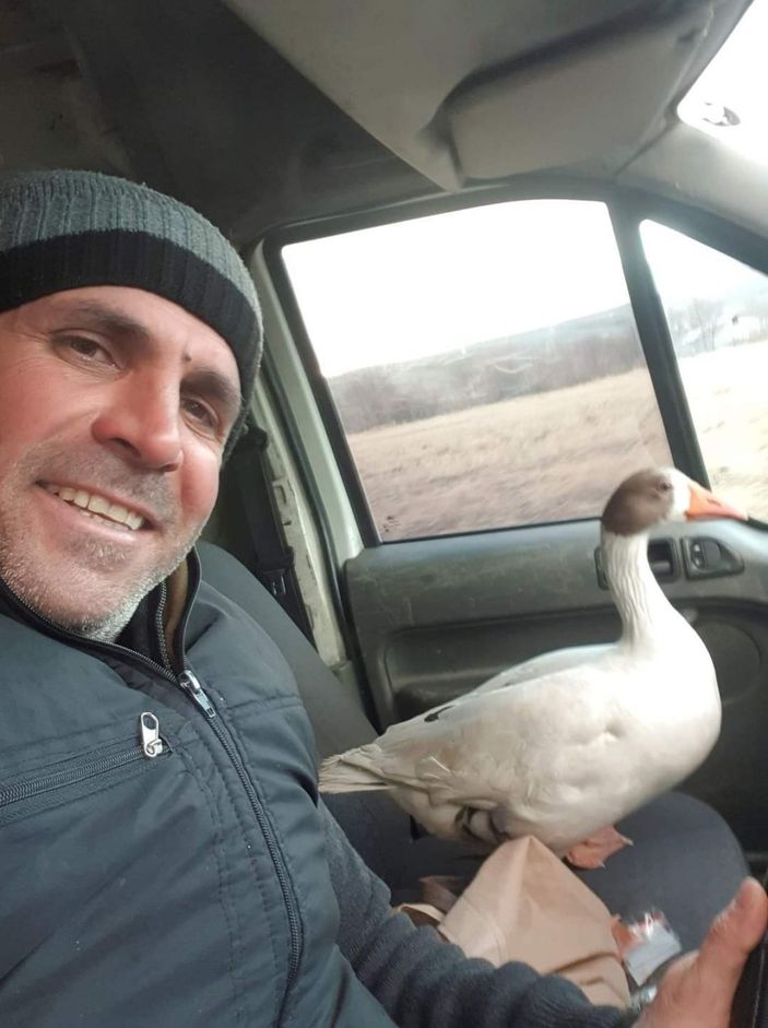 Vatandaşın yolda bulduğu ve aracına aldığı kaz ile şiveli diyaloğu güldürdü -1