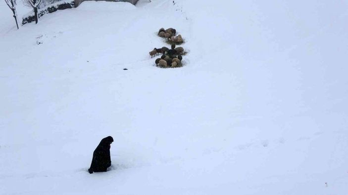 Muş’ta 1600 rakımlı köy kara gömüldü -4