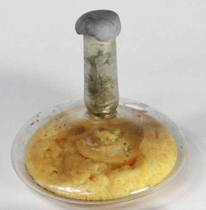 17 yüzyıllık cam fanustaki sıvı zeytinyağı çıktı -2