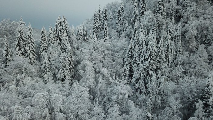 Rize'de 283 köy yolu, kardan kapandı -4