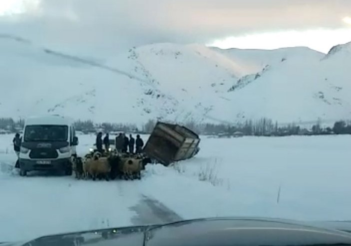 Yüksekova’da kamyonet kara saplandı, 50 koyunu vatandaşlar kurtardı -4