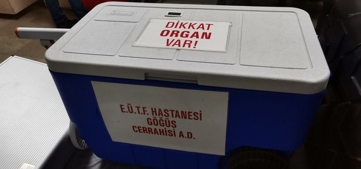 Ordu'da hayatını kaybeden Gökhan Tezlik'in organları, 5 hastaya umut oldu