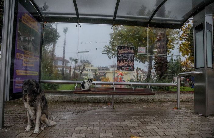 'Kırmızı kod' alarmı verilen Antalya teyakkuzda (3) -7