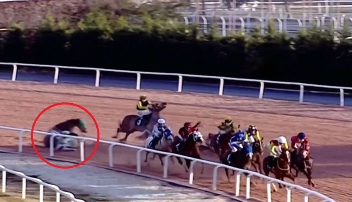 Adana Yeşiloba Hipodromu’nda 3 jokey attan düştü -4