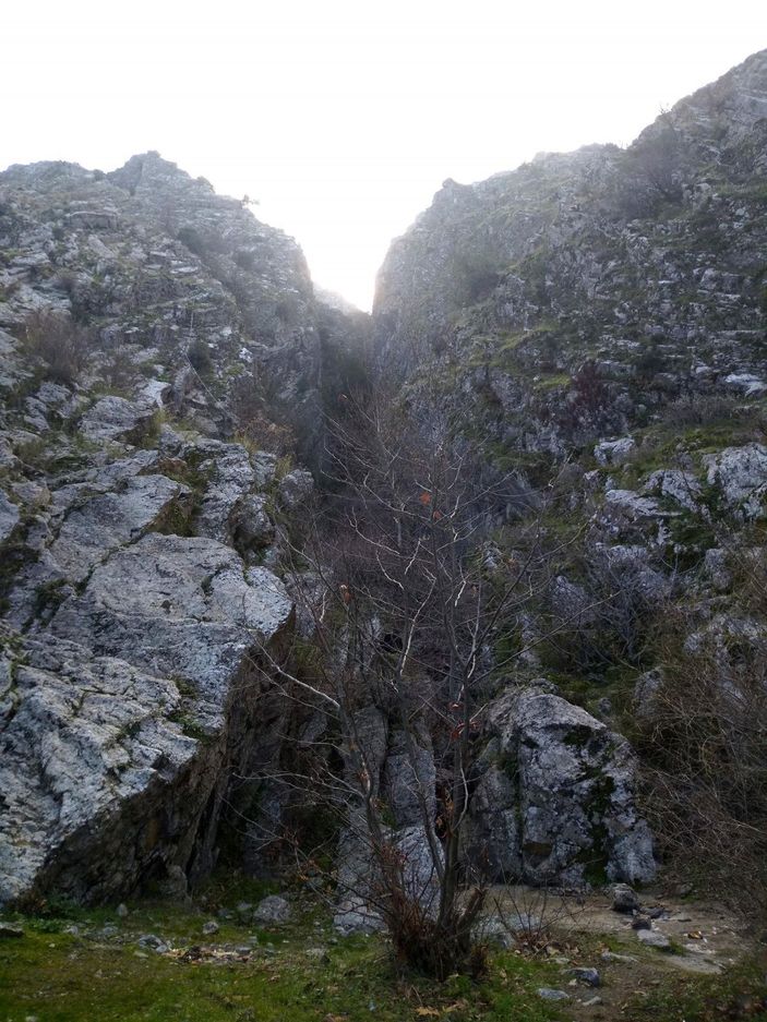 d Kanyonda mahsur kalan keçiye ulaşıp, sırtına bağladı -4