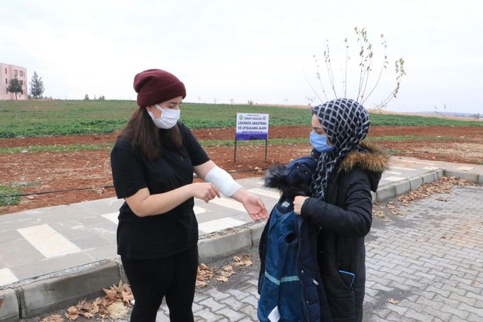 Üniversiteli Rojin, kampüste köpeklerin saldırısına uğradı -3