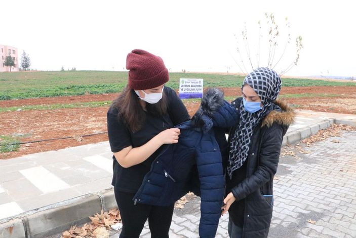 Üniversiteli Rojin, kampüste köpeklerin saldırısına uğradı -4