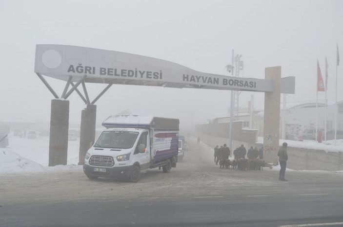 Ağrıda satışa getirilen hayvanların tüyleri kırağı tuttu -9