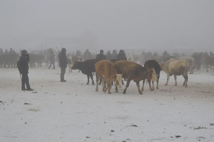 Ağrıda satışa getirilen hayvanların tüyleri kırağı tuttu -8