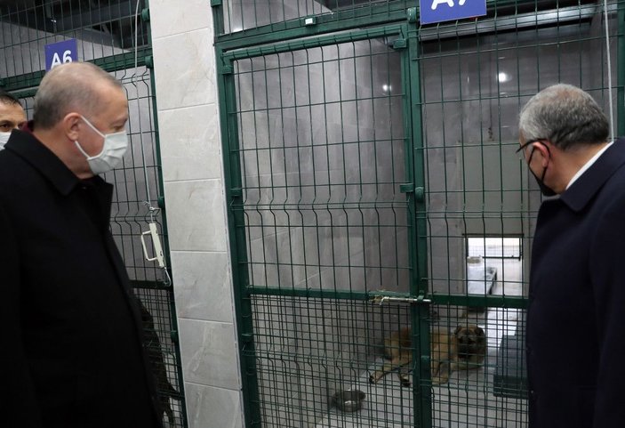 Fotoğraf Ek//Cumhurbaşkanı Erdoğan'ın Beykoz'da hayvan barınağı ziyareti -2