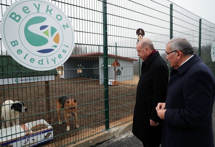 Fotoğraf Ek//Cumhurbaşkanı Erdoğan'ın Beykoz'da hayvan barınağı ziyareti -10