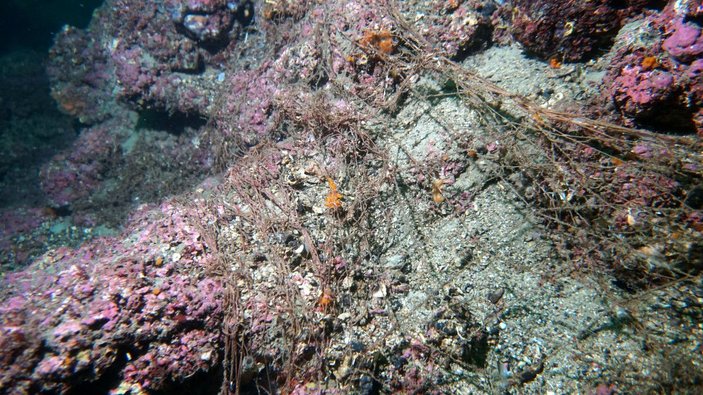 Çanakkale'de denizden 5 dönüm hayalet ağ toplandı