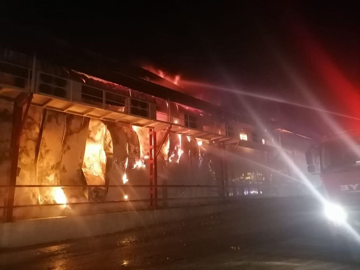 Hatay’da soğuk hava deposunda yangın -4