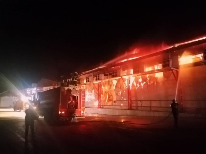 Hatay’da soğuk hava deposunda yangın -2