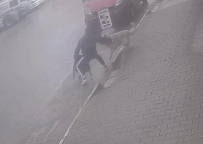 Köpeğine saldıran sokak köpeğini bıçakladı; o anlar kamerada  -7
