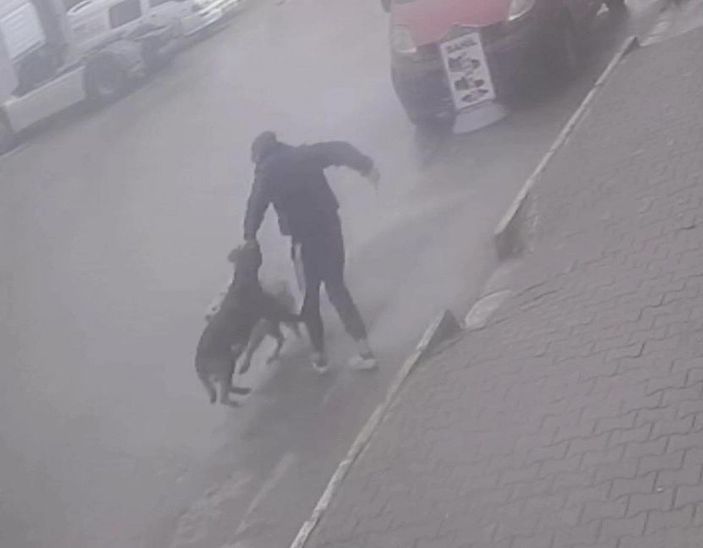Köpeğine saldıran sokak köpeğini bıçakladı; o anlar kamerada  -4